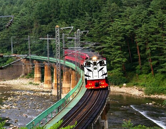 [1박2일] 백두대간협곡열차 / 정동진 / 묵호항 / 하슬라아트 여행(1박2일)