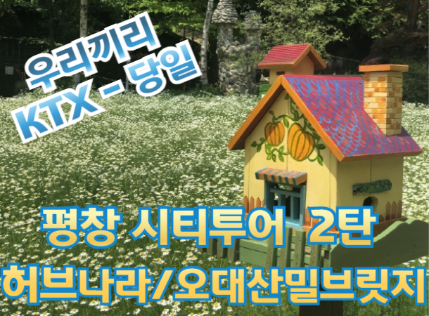[ KTX - 우리끼리]  평창택시투어 (2탄) 향기정원 허브나라 /  오대산 밀브릿지 여행 (당일)