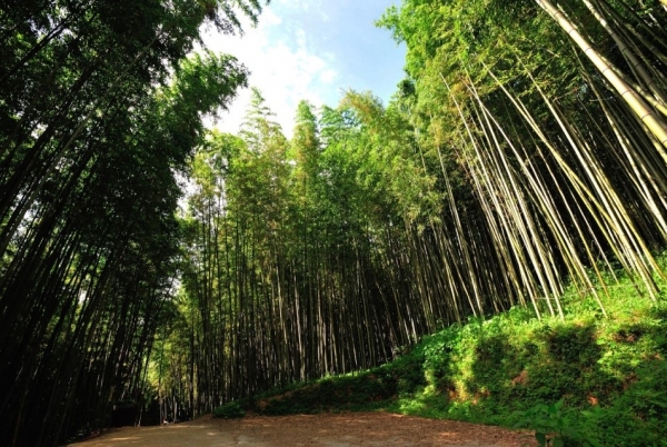 [수원출발] [KTX+무궁화호]남도별미 2박3일 여행 (담양/곡성/남해/여수/순천) [호텔]-3월~11월 [8명]~