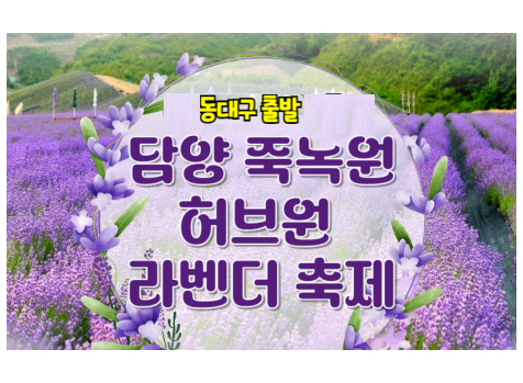 [KTX - 동대구출발] 담양(죽녹원/메타쉐콰이어길) / 보랏빛 향기 가득한 정읍 라벤더 축제 당일여행 -중식포함 [ 5/23~6/30 ]