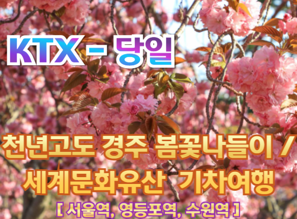 [ KTX -당일] 천년고도 경주 봄꽃나들이 / 세계문화유산 지식 가이드 기차여행(당일) [중식,석식 제공]- [서울역,영등포역,수원역 출발]