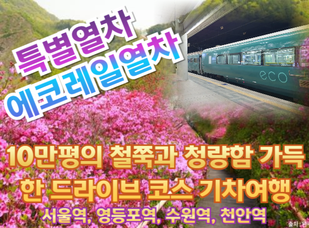 [특별열차-에코레일 열차] 10만평의 철쭉과 청량함 가득한 드라이브 코스 기차여행  (당일)  [5월 10일(일) ] [서울역,영등포역,수원역,천안역,서대전]